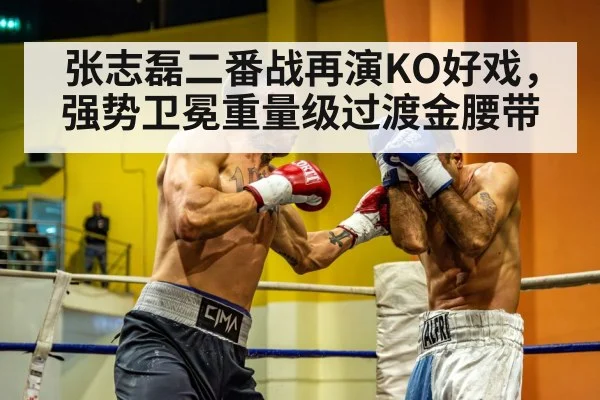 chinese heavyweight boxer