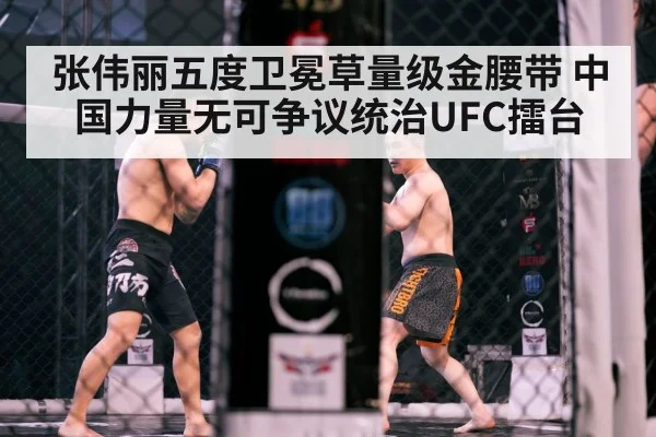 Zhang Weili fight